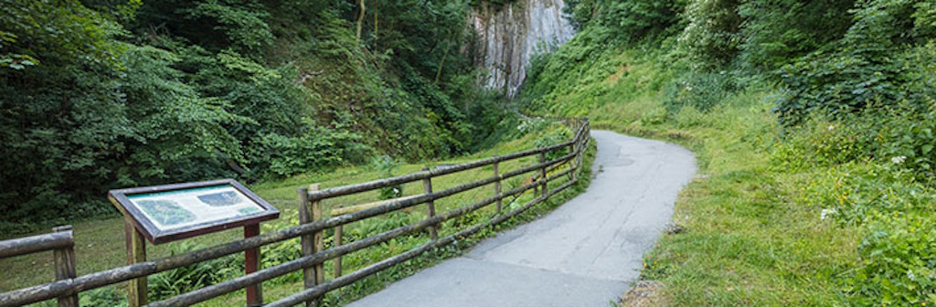 Castleton Peak MWS banner